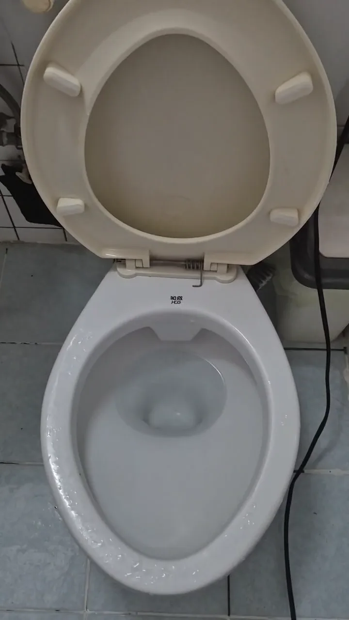 茄萣區一樓馬桶疏通服務紀錄